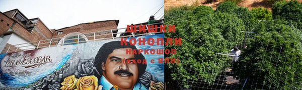 прущие крисы Верхний Тагил
