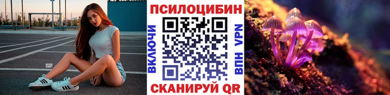 Купить закладки  Пустошка  Галлюциногенные грибы GOLDEN TEACHER 